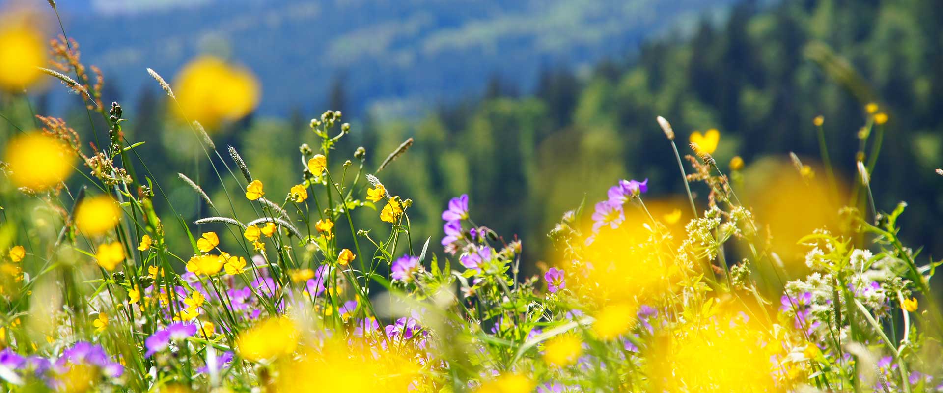 Reiserücktritt und Reiserücktrittsversicherung