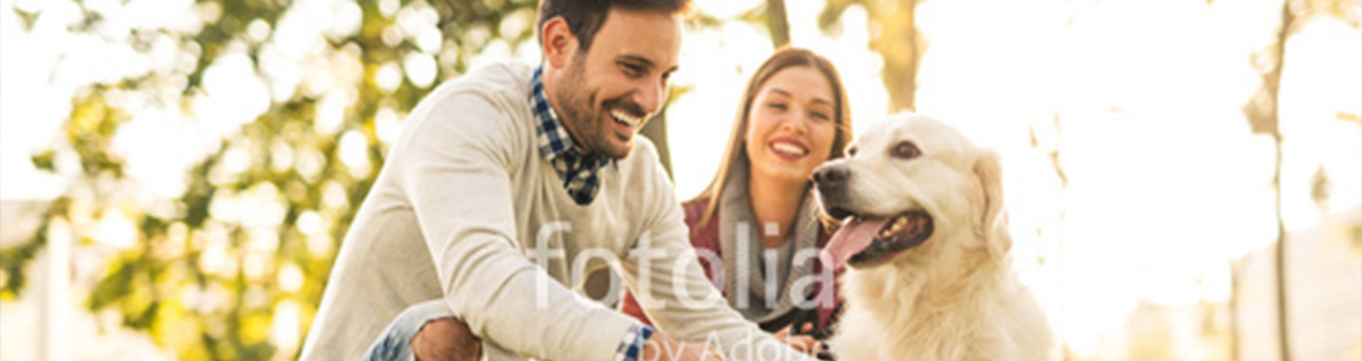 Urlaub mit Hund im Allgäu und Kleinwalsertal