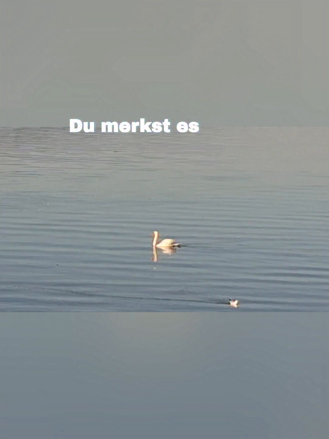 Es passiert nicht plötzlich.

Es passiert leise.
Immer wieder ein kleines Stück.

Bis du dich selbst kaum noch spürst.

#Bergreiz #Selbstfürsorge #GrenzenSetzen #Psychotherapie #Allgäu #InnereKlarheit