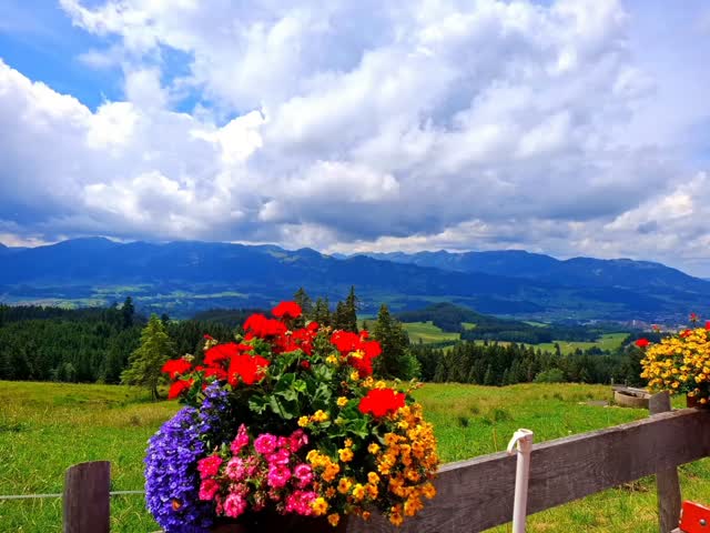 Manchmal braucht es nicht mehr als einen Moment.

Einmal stehen bleiben.
Den Blick schweifen lassen.
Und tief durchatmen.

Die Berge erinnern mich immer wieder daran, wie gut sich Weite anfühlen kann. ?⛰️

#bergreiz #allgäu #berge #bergliebe #natur d