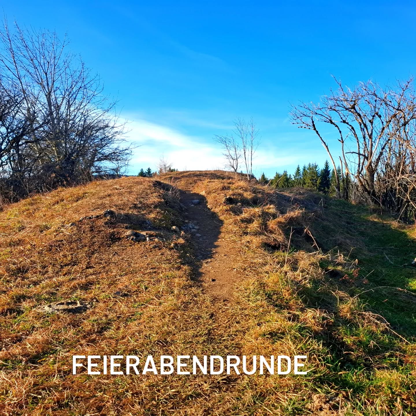 Feierabend im Gehen

Ruhiger Weg in der Natur –
zum Abschalten, Durchatmen und Sortieren

Nach einem vollen Tag noch einmal rausgehen.

Den Kopf etwas leiser werden lassen.

In Bewegung kommen –  ohne Druck in langsamen Tempo.

Wir gehen gemeinsam ei
