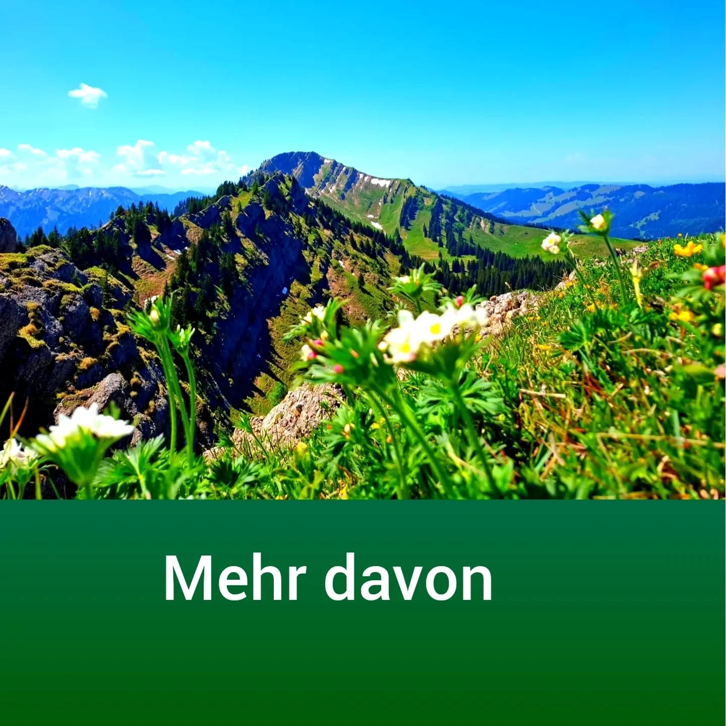 Manchmal suchen wir nach dem, was wir streichen, verändern oder loswerden sollten.

Doch manchmal hilft eine andere Frage:

Wovon darf es mehr geben?

Mehr Ruhe.

Mehr Natur.

Mehr Menschen, die guttun.

Mehr von den kleinen Dingen, die Kraft geben.
