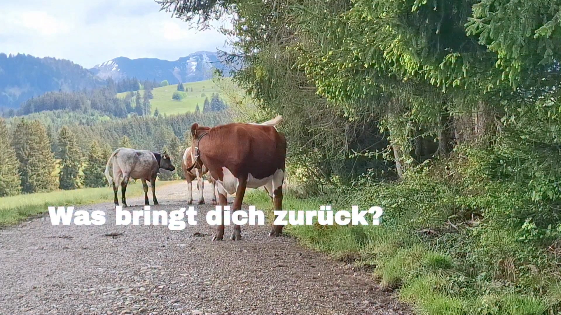 Was bringt dich zurück?

Manchmal ist es kein großer Schritt.
Kein Plan.
Keine Lösung.

Sondern ein Moment, in dem du wieder spürst:
Ich bin da.

Ein Weg.
Ein Atemzug.
Ein Blick in die Landschaft.

Vielleicht beginnt Kraft genau dort —
wo du wieder b