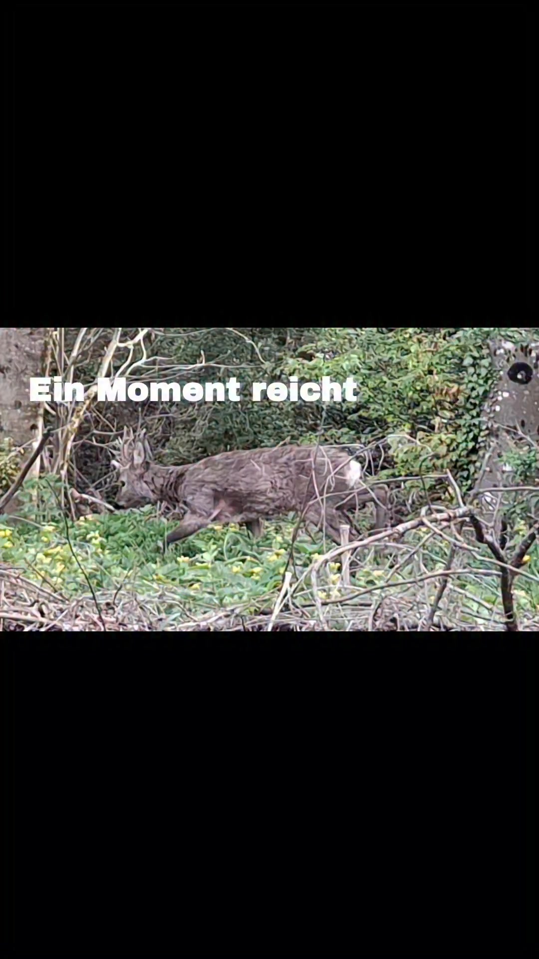 Manchmal braucht es nicht mehr.

Kein Plan.
Keine Lösung.
Kein „du musst noch“.

Nur einen Moment draußen.
Und etwas in dir wird wieder leiser.

Ein Moment reicht.

#Bergreiz
#allgäu
#naturwirkt
#nervensystem
#zurückzudir