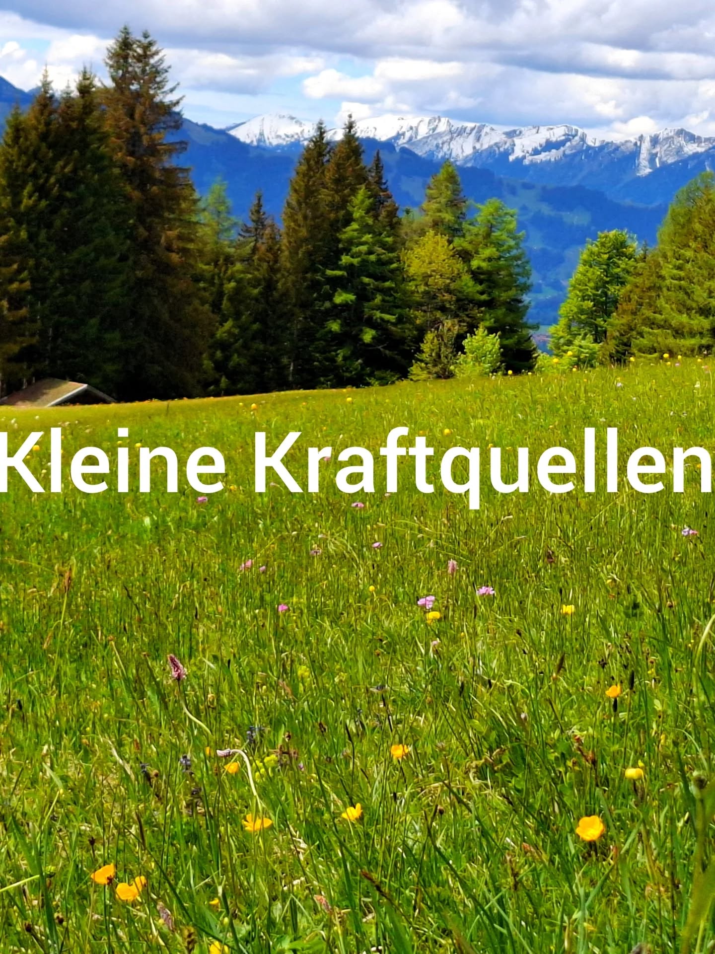 Nicht alles, was uns stärkt, ist groß.

Manchmal ist es ein kurzer Moment draußen.
Ein Licht auf den Blüten.
Ein ruhiger Atemzug.
Ein Gespräch, das nicht anstrengt.
Ein paar Minuten, in denen nichts funktionieren muss.

Gerade wenn der Alltag voll is