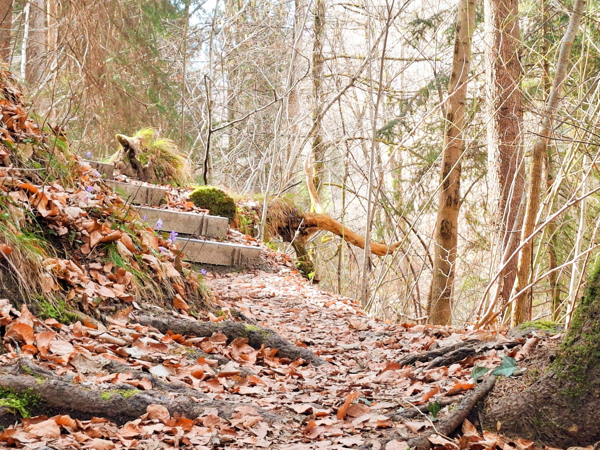 Du hast Angst, dass es ewig dauert.

Viele Menschen glauben,
dass Therapie ein sehr langer Weg sein muss.

Und ja – manche Prozesse brauchen Zeit.

Aber es gibt auch Momente,
in denen sich Dinge schneller bewegen,
als man es erwartet hätte.

Nach wen