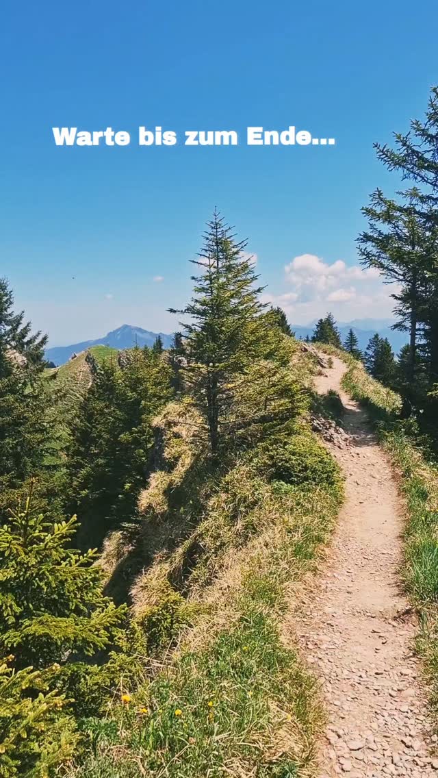 Manchmal lohnt es sich, noch einen Moment länger hinzuschauen. ?

Am Grat wartet so manche Überraschung. ?️

#bergreiz #allgäu #nagelfluhkette #bergmomente #wandern