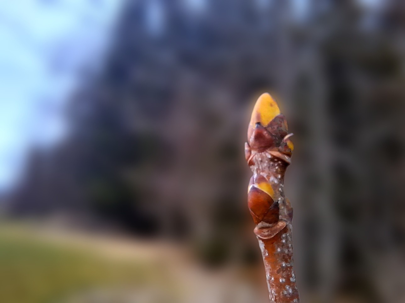 Du funktionierst noch.
Aber es wird langsam zu viel.

Viele Menschen warten lange,
bevor sie sich Unterstützung holen.

Nicht, weil es ihnen gut geht.
Sondern weil sie funktionieren.

Weil sie denken:
„Es geht ja noch.“
„Andere haben es schwerer.“
„I