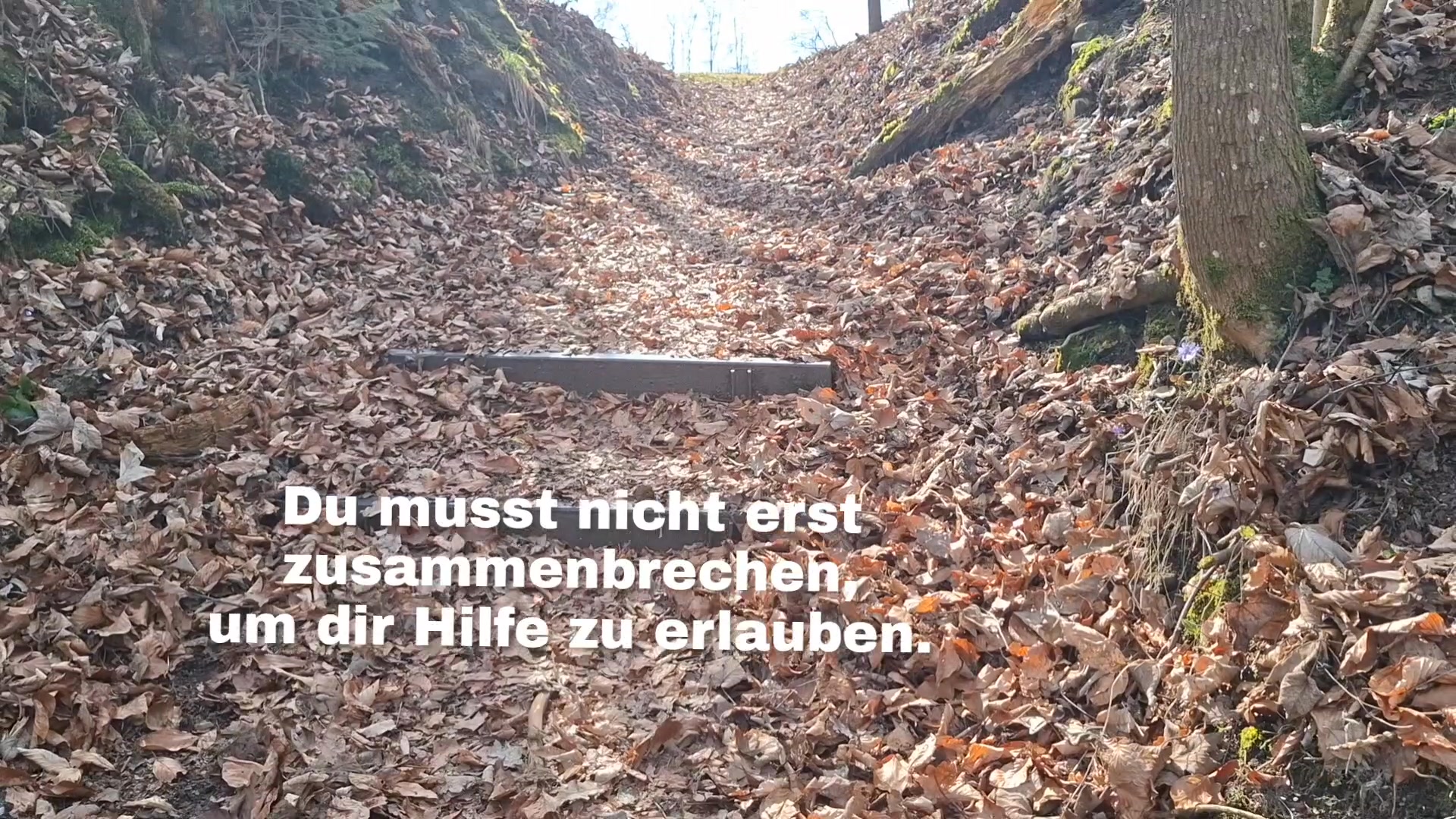 Du musst nicht erst zusammenbrechen,
um zu merken:
So möchte ich nicht weitermachen.

Manchmal braucht es keinen Zusammenbruch,
sondern nur den Moment,
in dem man merkt:
So möchte ich nicht weitermachen.

Wenn du das kennst:
Du musst da nicht alleine