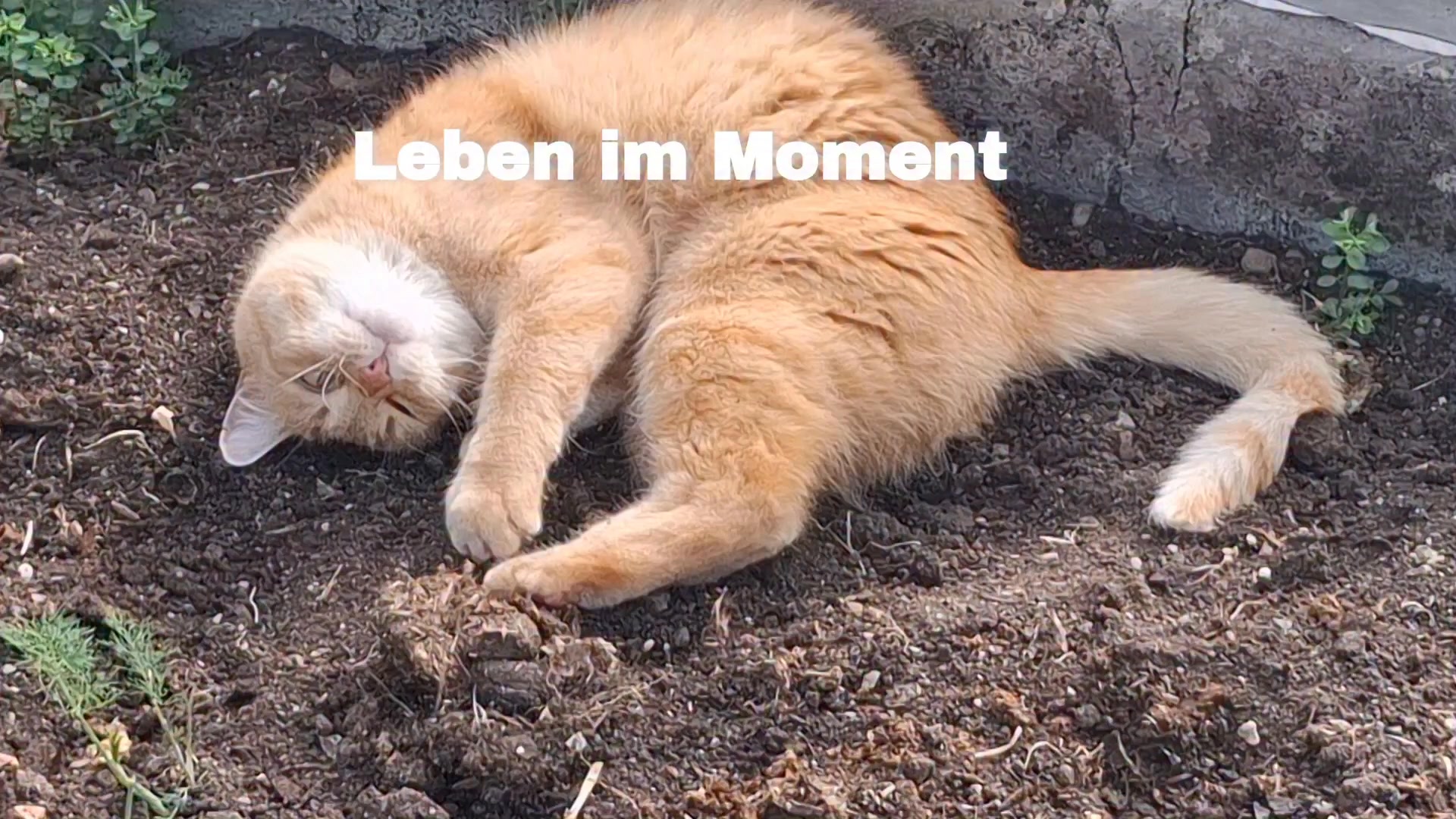 Manchmal ist genau das genug.

Ein Moment.
Kein Müssen.
Kein Weiterdenken.
Nur da sein.

Leben im Moment.

#Bergreiz #LebenImMoment #Naturmoment #Allgäu #Ruhe #Entschleunigung #Achtsamkeit #Naturverbindung #PsychischeGesundheit #Coaching