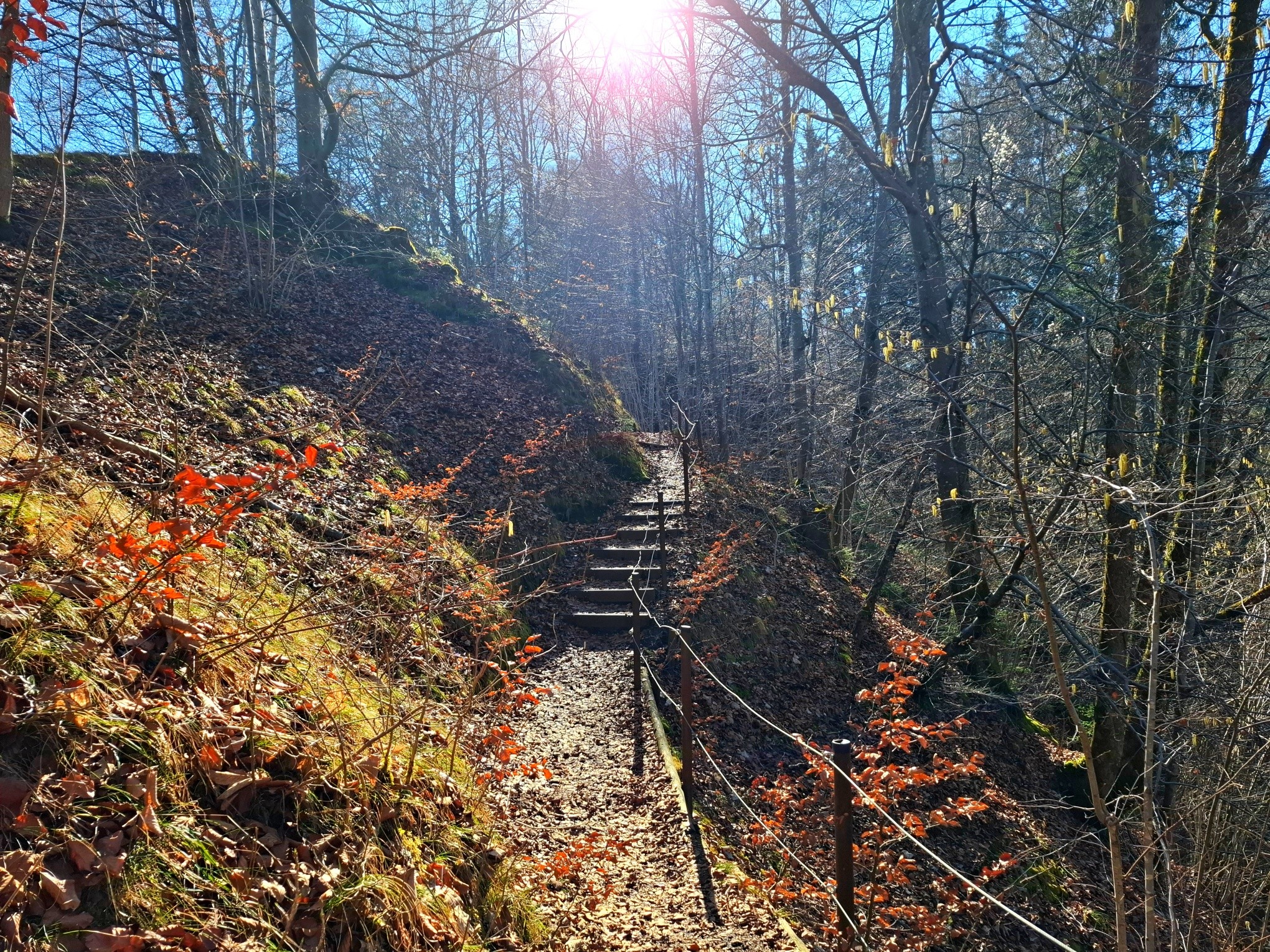 Du dachtest, du wärst schon weiter.

Manche Themen tauchen immer wieder auf.

Obwohl man sie schon verstanden hat.
Obwohl man schon darüber gesprochen hat.

Und oft entsteht dann der Gedanke:
„Ich müsste doch schon weiter sein.“

Aber so funktioniere