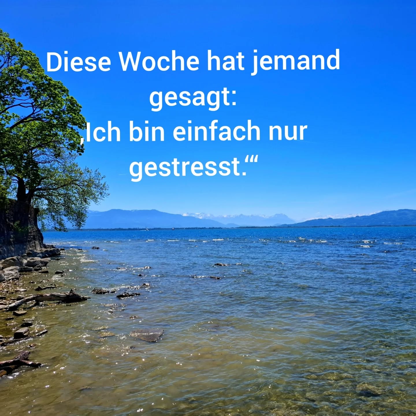 Du nennst es Stress.

Aber dein Körper zeigt dir schon länger,
dass es mehr ist.

Und genau da beginnt es.

#Bergreiz
#allgäu
#psychotherapie
#nervensystem
#stress