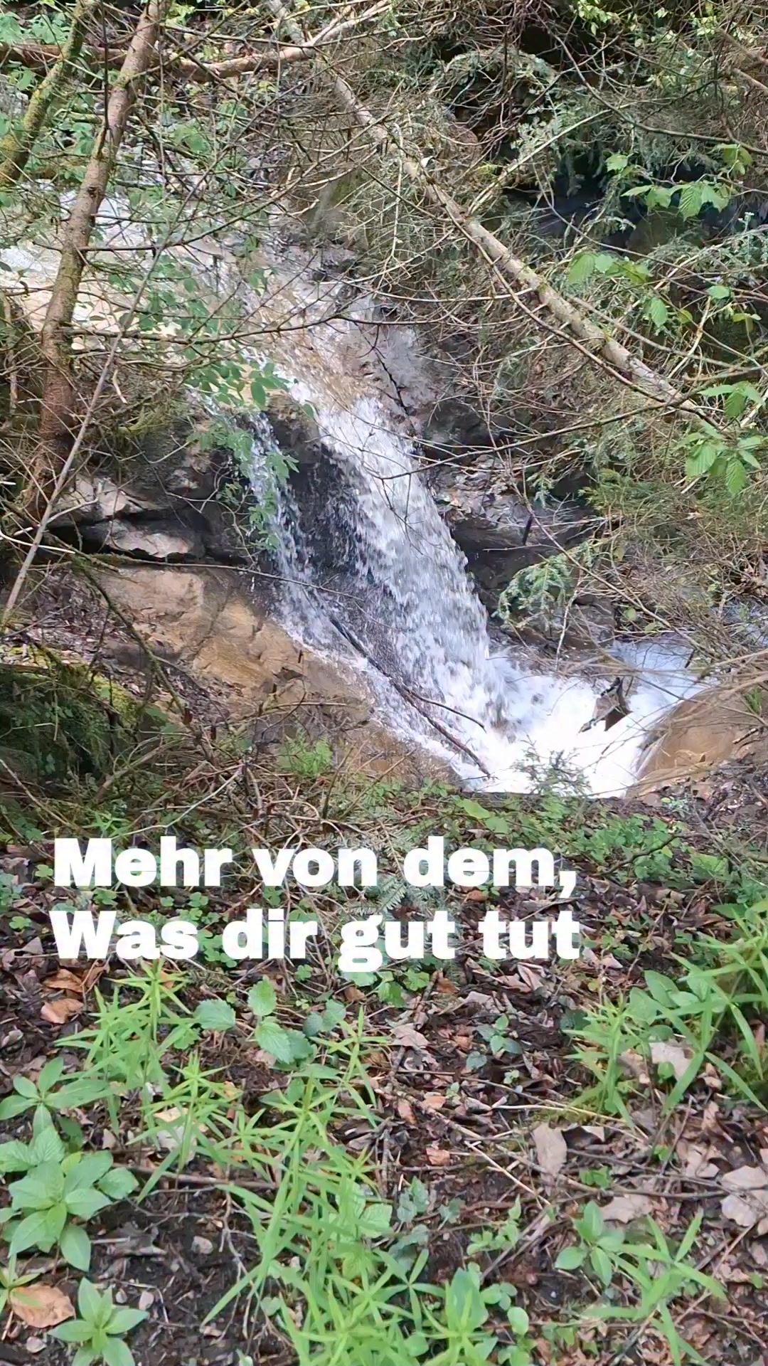 Mehr von dem, was dir gut tut.

Manchmal muss nicht alles anders werden.

Manchmal reicht es, den Dingen mehr Raum zu geben, die bereits Kraft schenken.

#Krafttanken #Achtsamkeit #Naturcoaching #Psychotherapie #Bergreiz