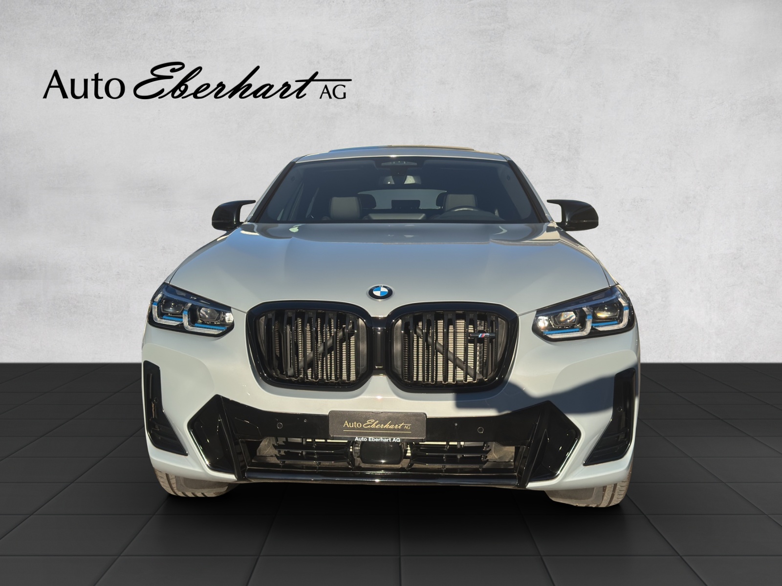 car-pic