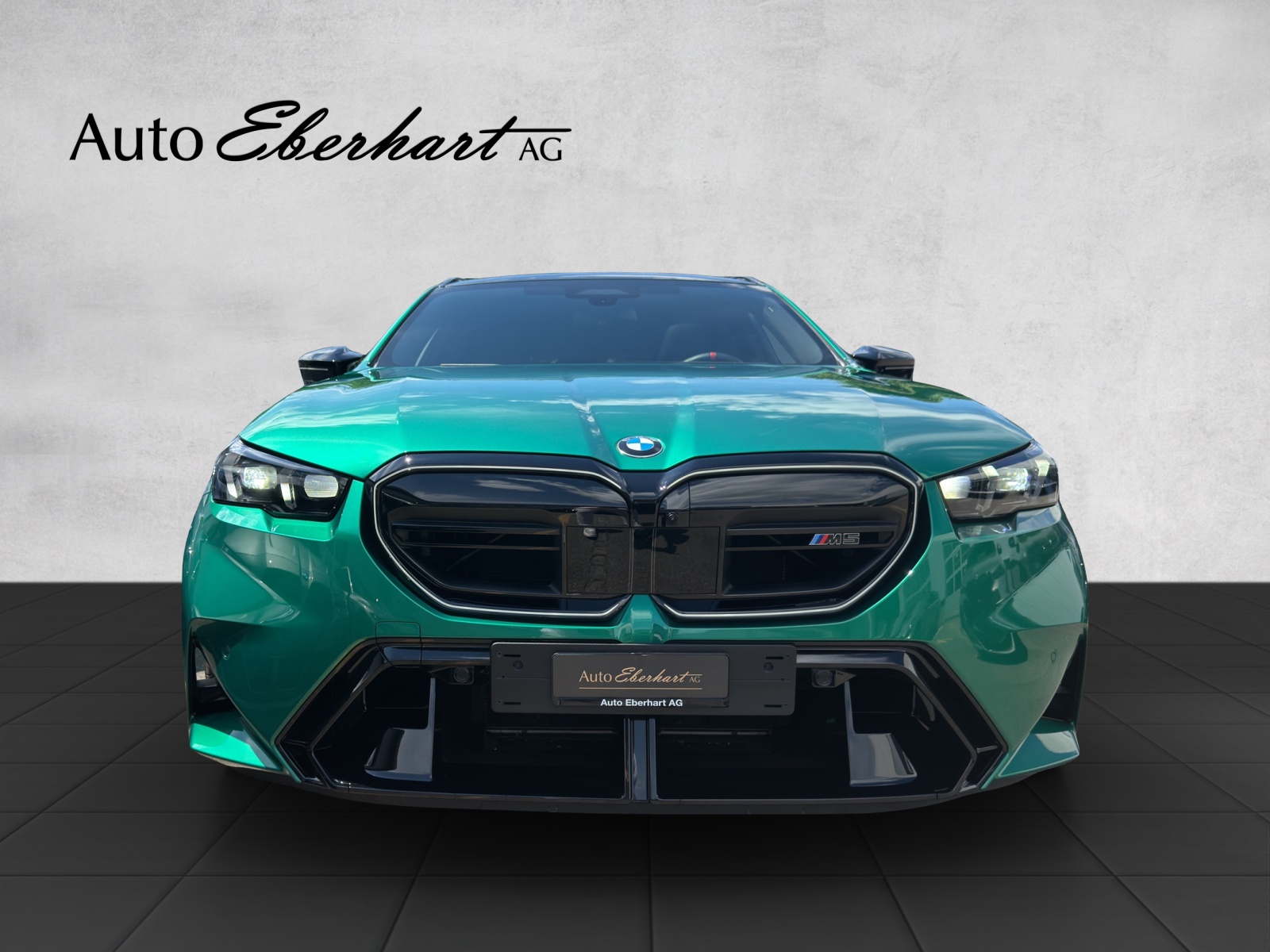 car-pic
