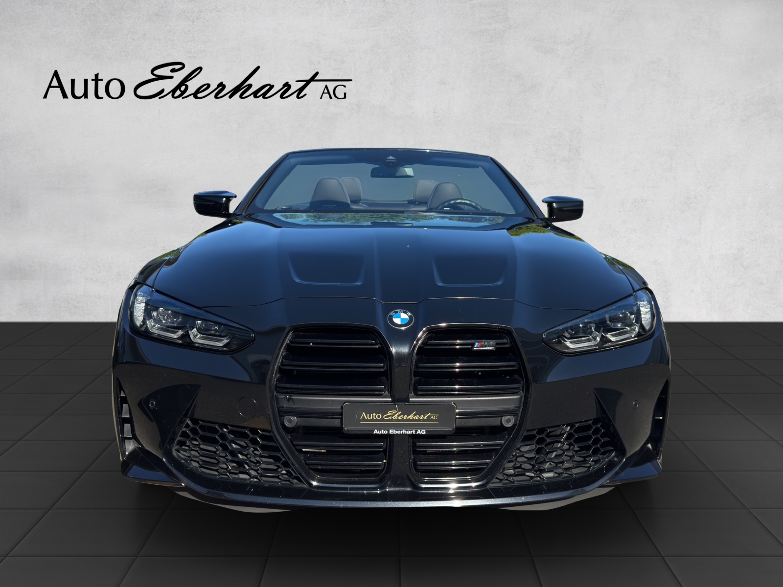 car-pic