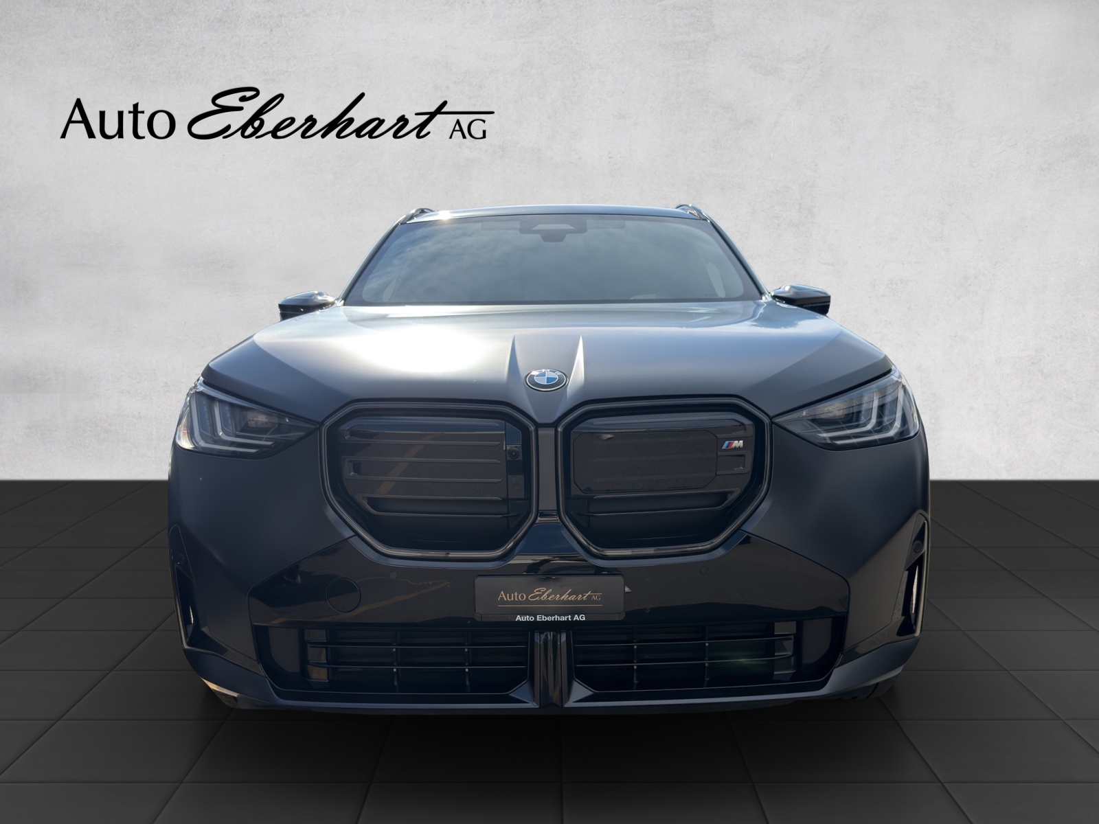 car-pic