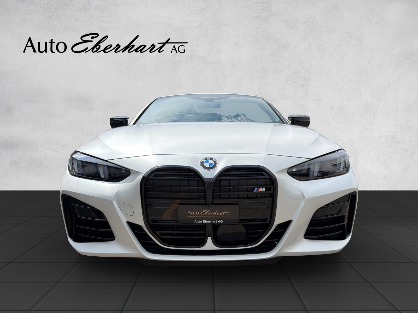 car-pic