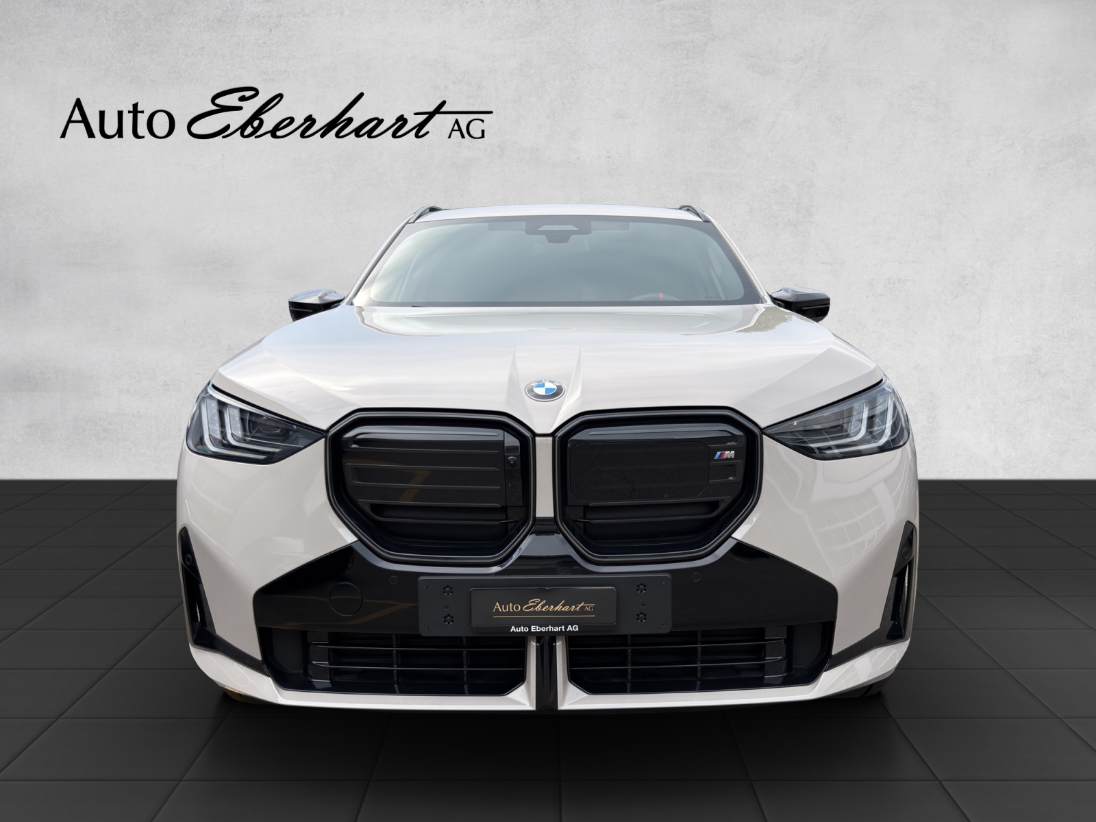car-pic