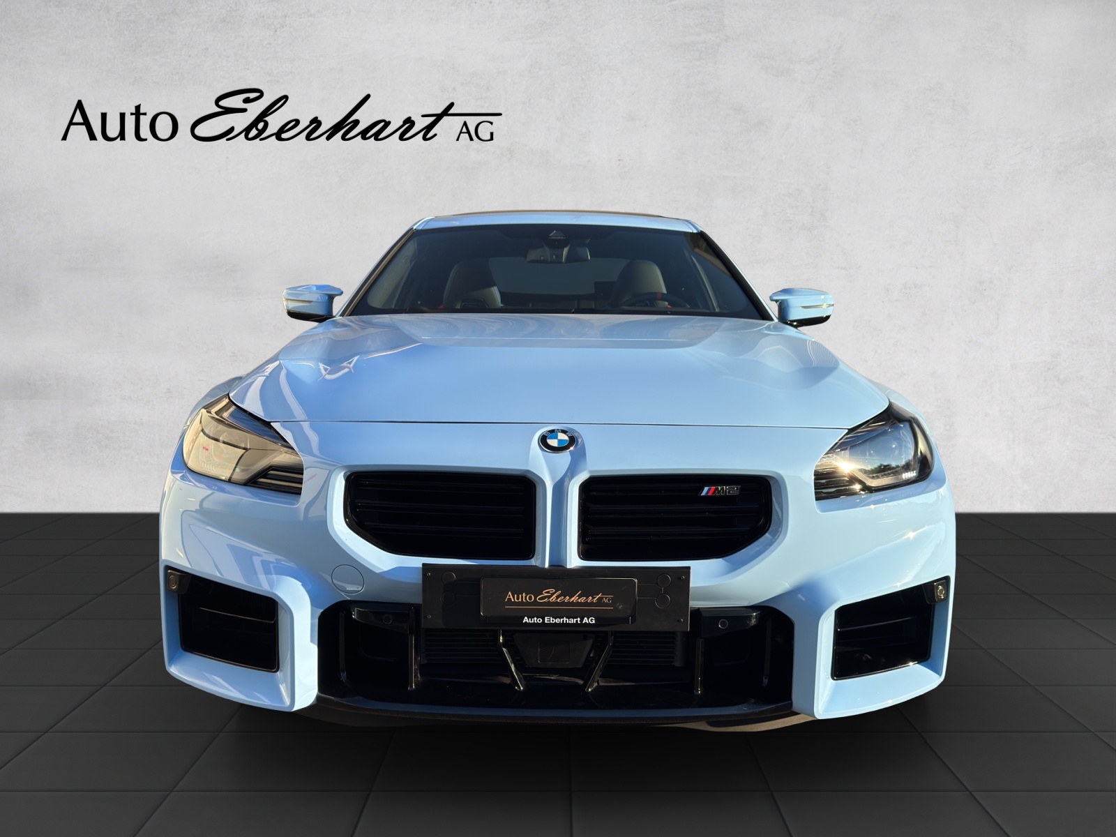 car-pic