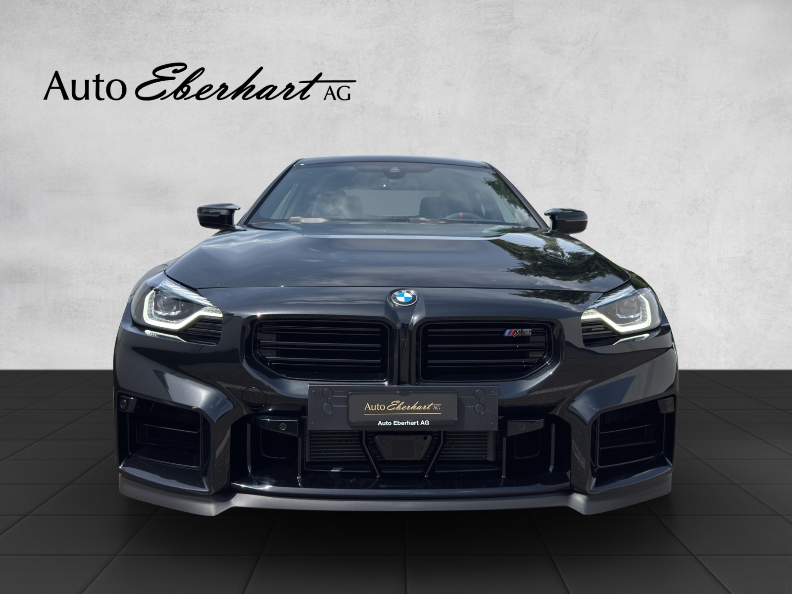 car-pic