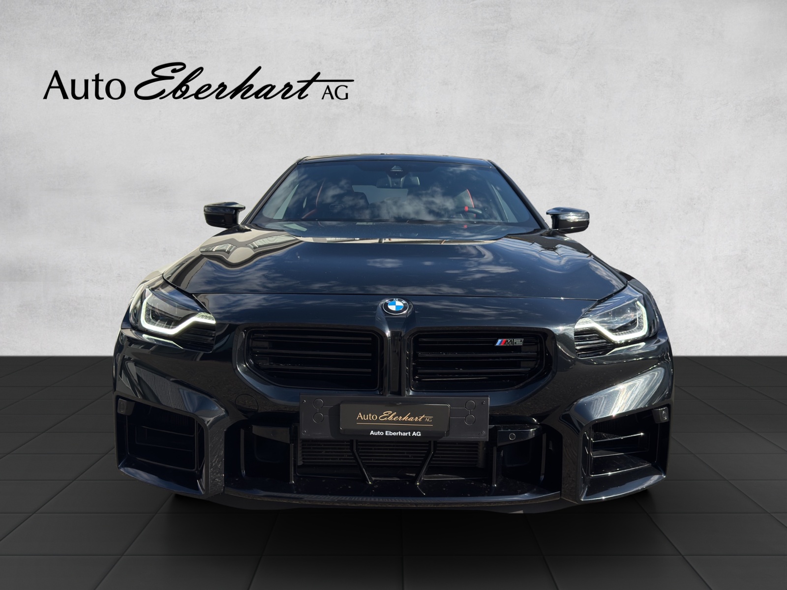 car-pic