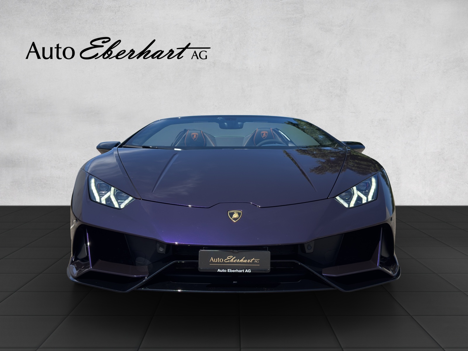 car-pic