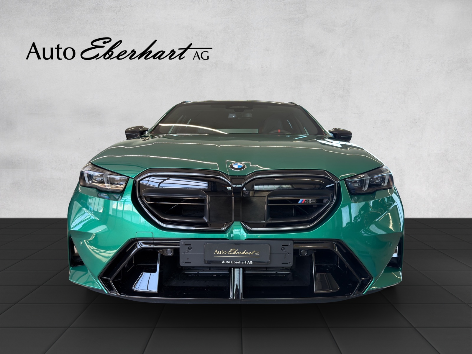 car-pic