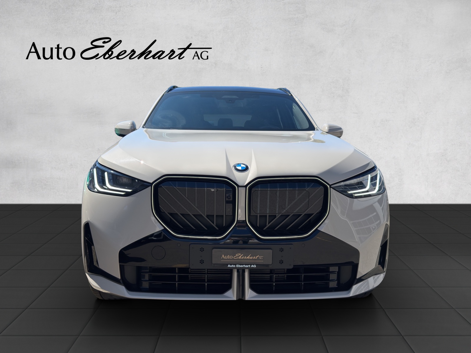 car-pic
