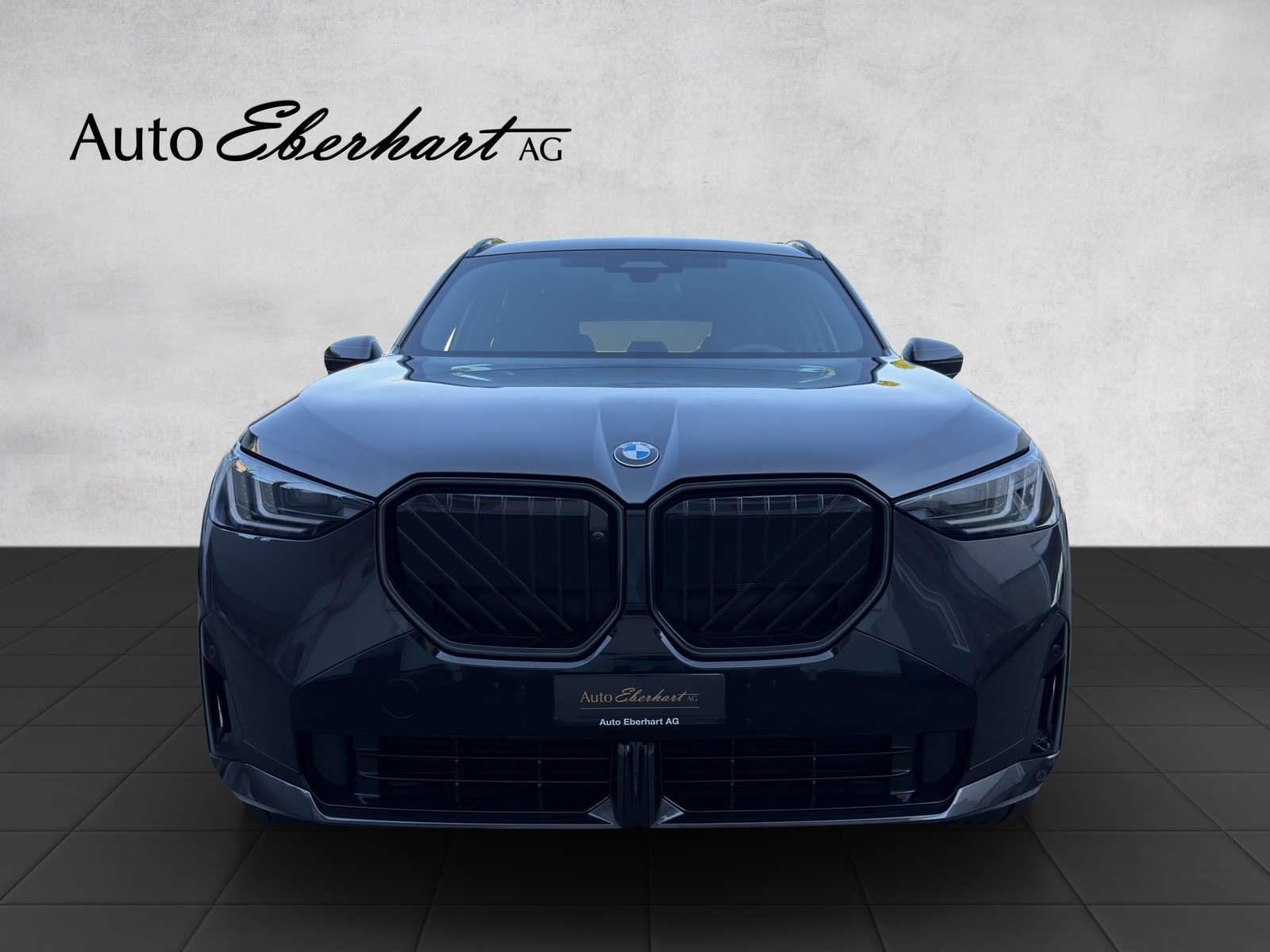 car-pic