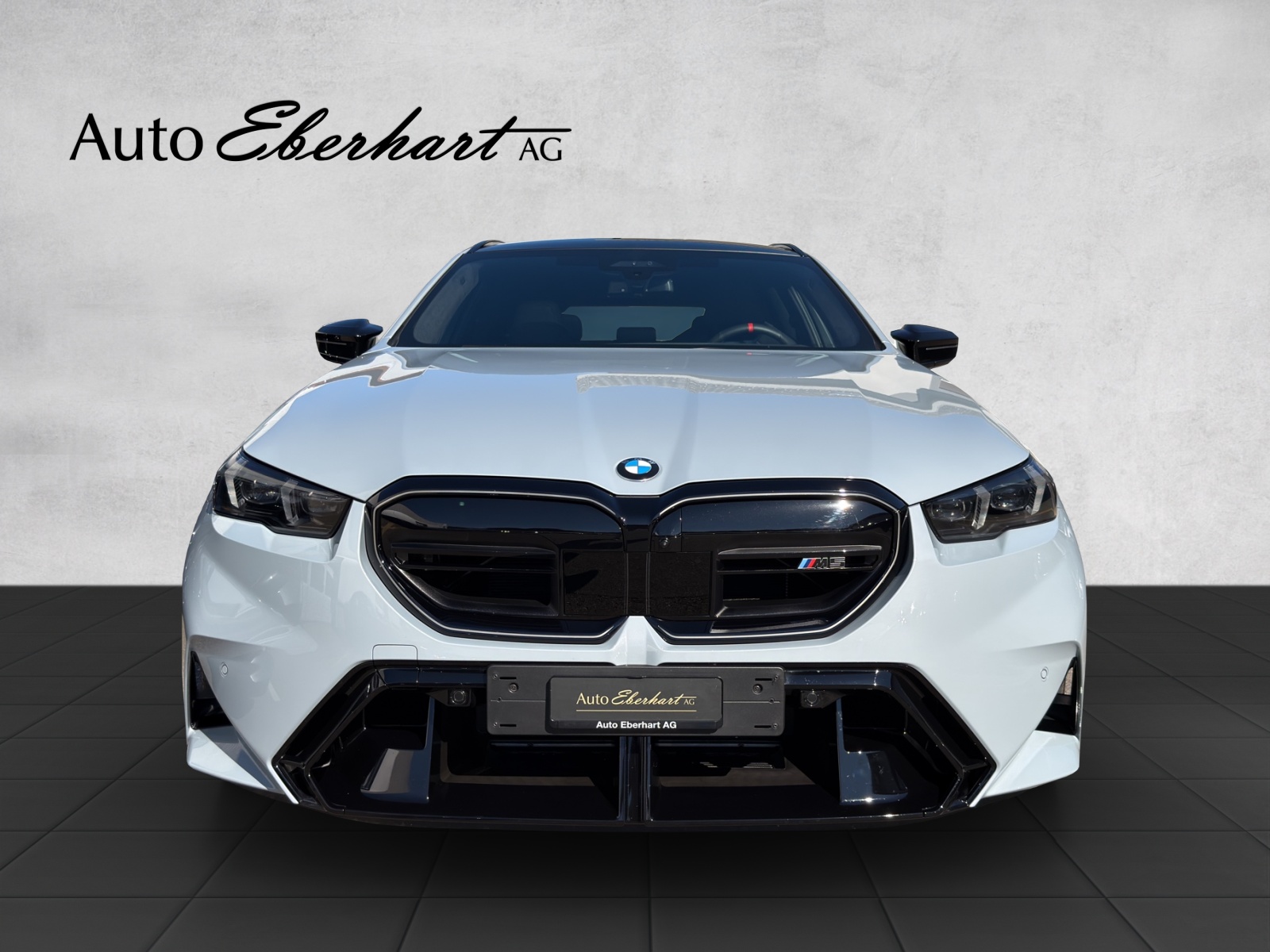 car-pic
