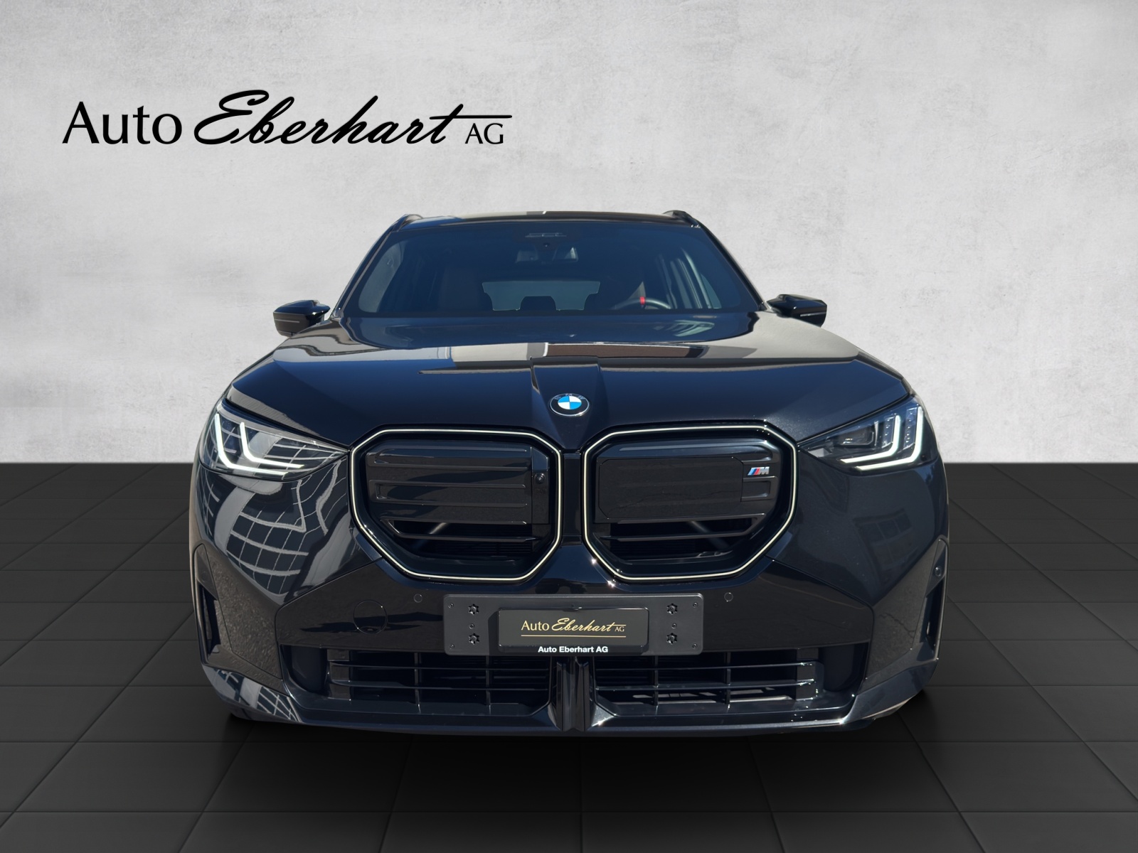 car-pic