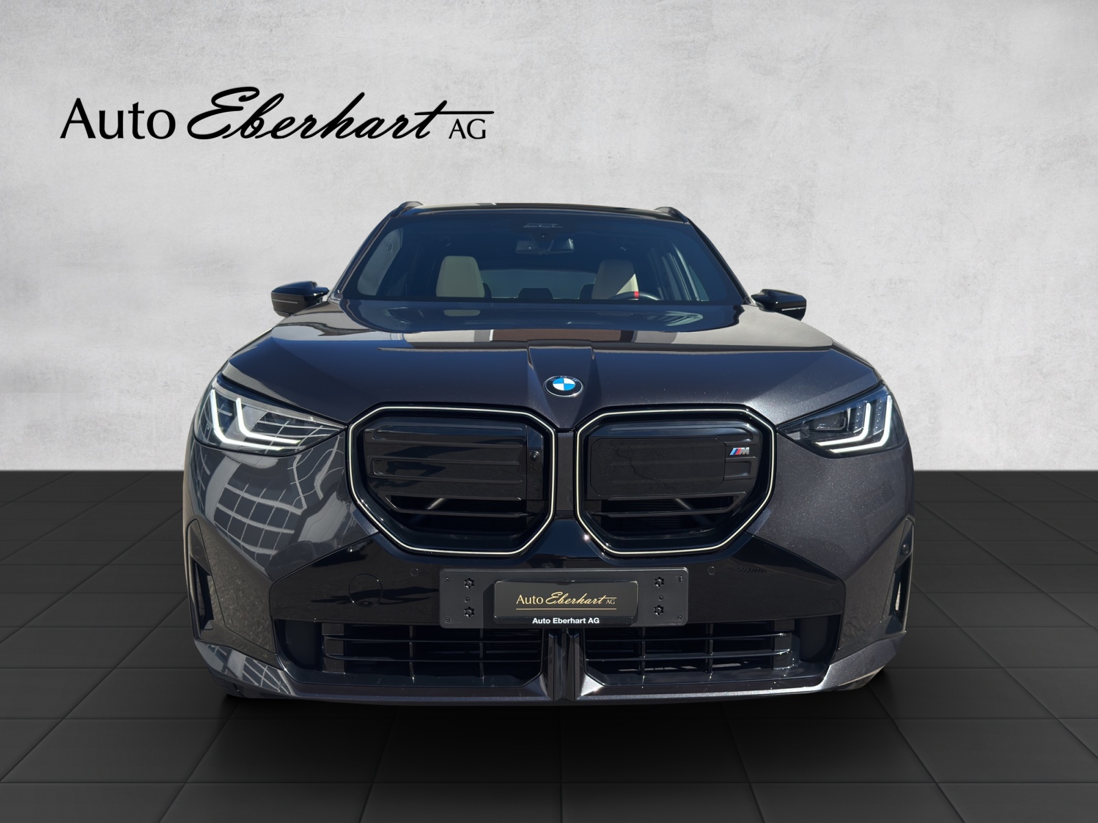 car-pic