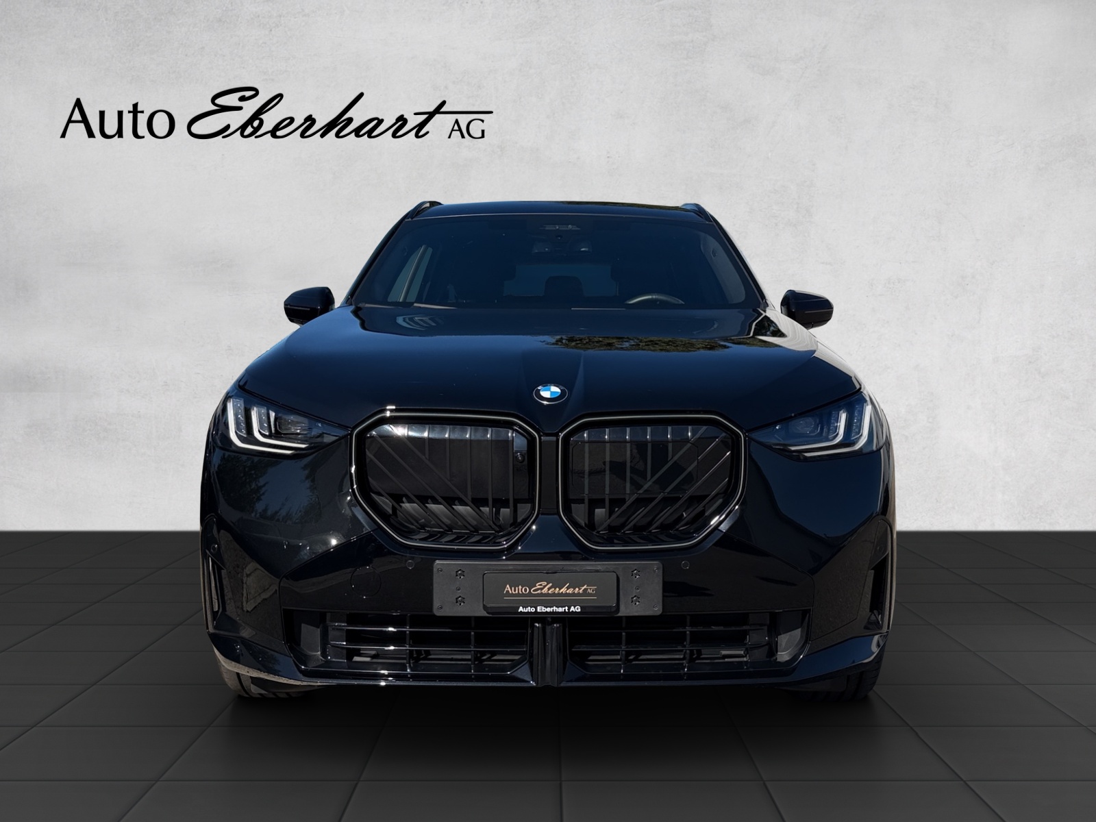 car-pic