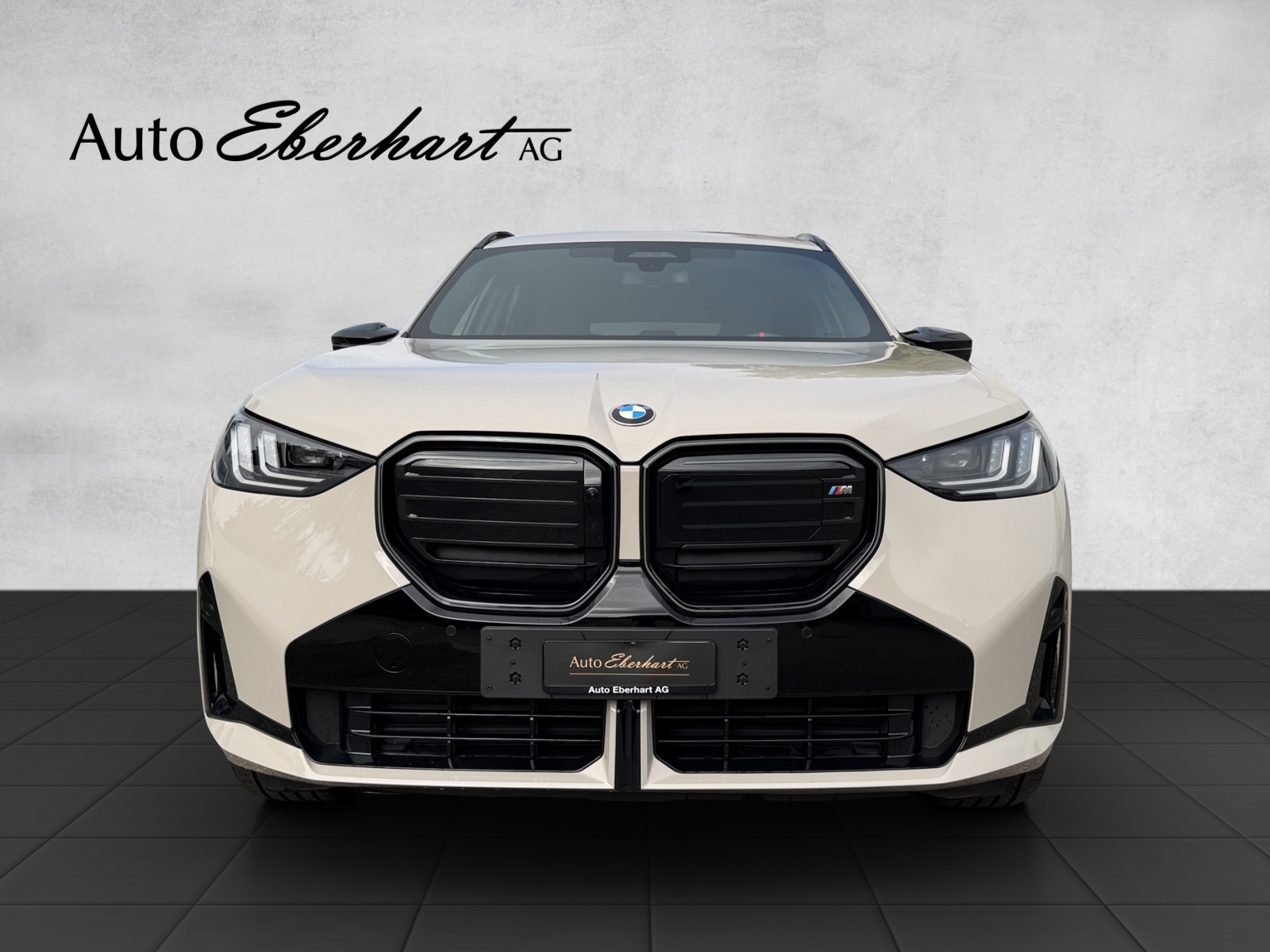 car-pic