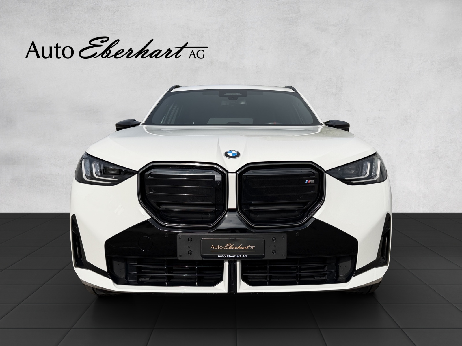car-pic