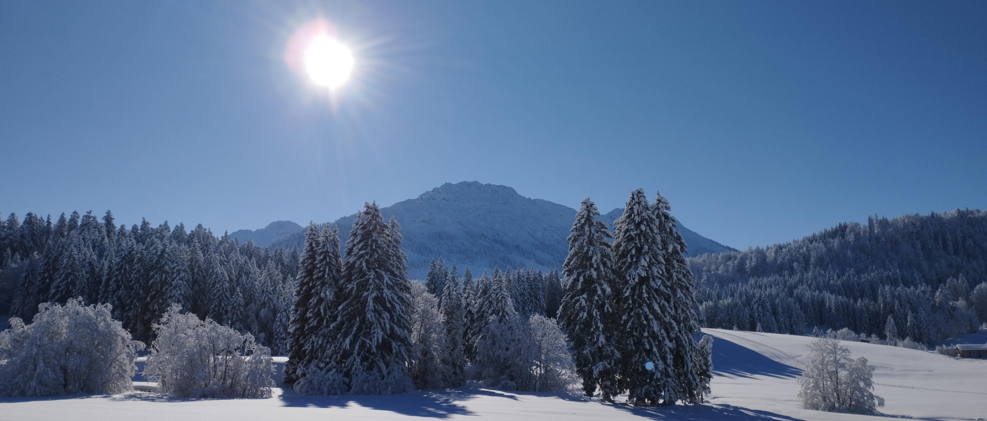 Herzlich Willkommen im Unterjoch