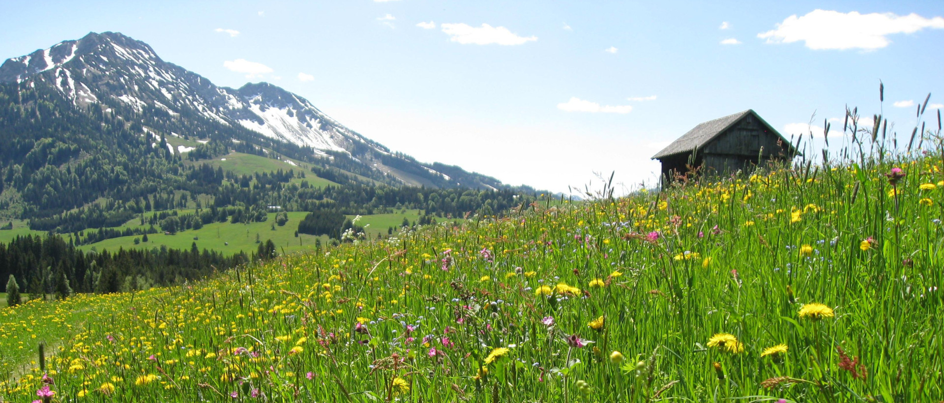 Herzlich Willkommen im Unterjoch