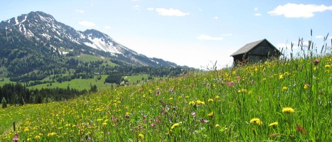 Herzlich Willkommen im Unterjoch