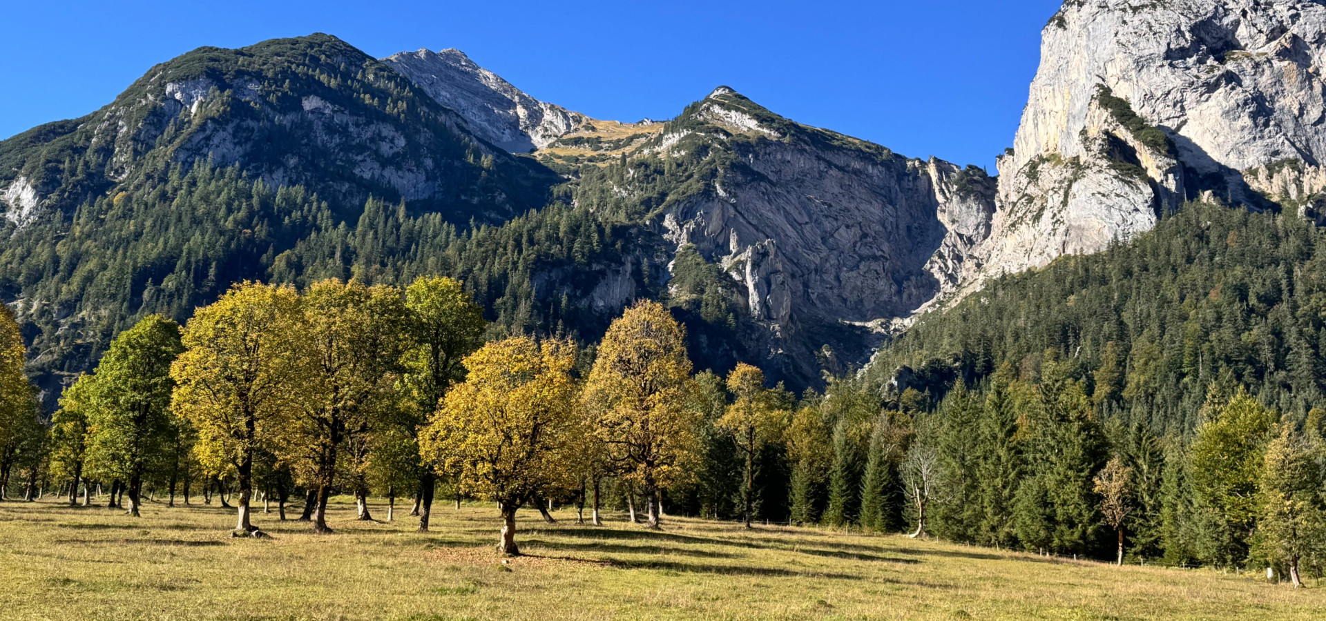 HERBSTZEIT.IMMOBILIENZEIT.