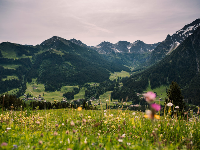 Hiking path 