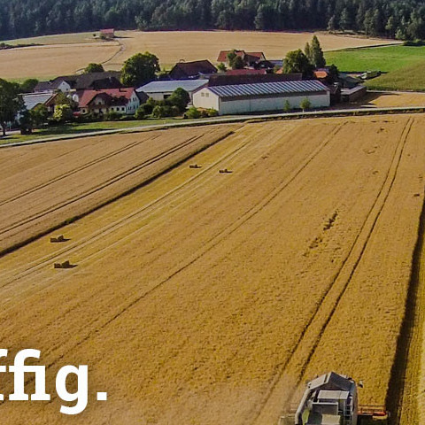 Wird auf der Startseite nicht verwendet