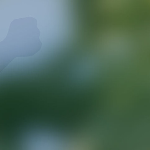 Wird auf der Startseite nicht verwendet