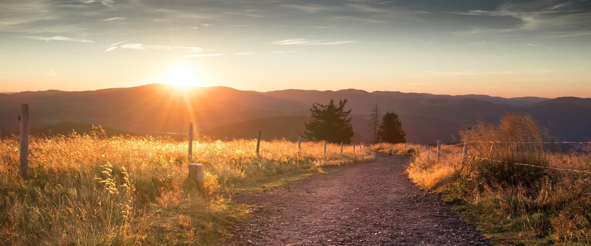 Schwarzwald entdecken