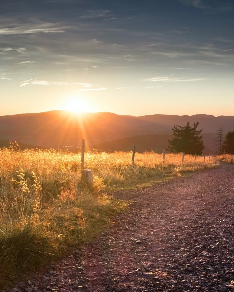 Schwarzwald entdecken