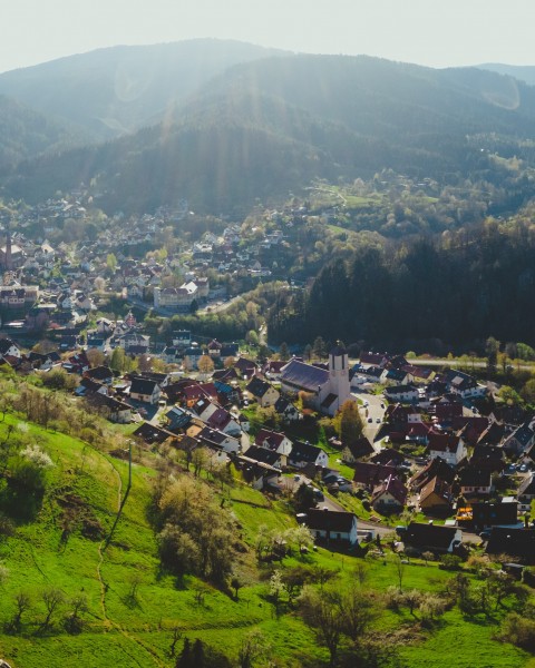 Schwarzwald entdecken
