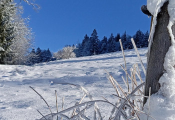 Wintervergnügen inkl. Skipass