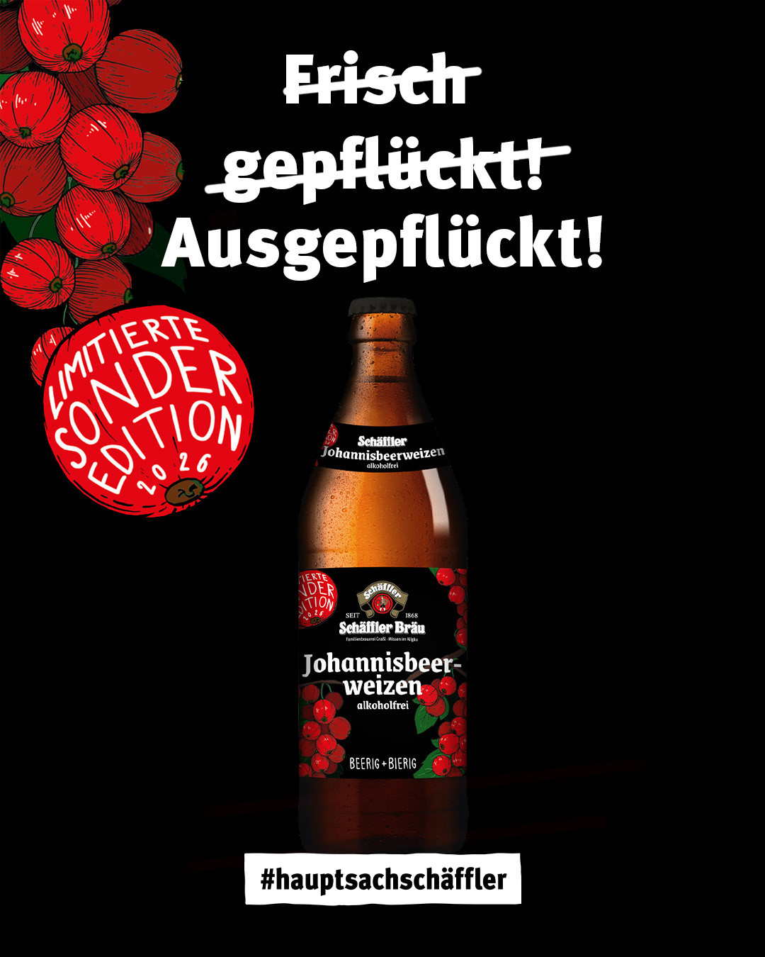 Liebe Freunde vom Schäffler,⁠
⁠
jetzt müsst ihr kurz stark sein: Unser Johannisbeerweizen ist für diesen Sommer leider ausverkauft.⁠
⁠
Viele von euch fragen sich, warum wir ausgerechnet jetzt den Johannisbeerweizen wieder vom Hahn nehmen. Die Antwort