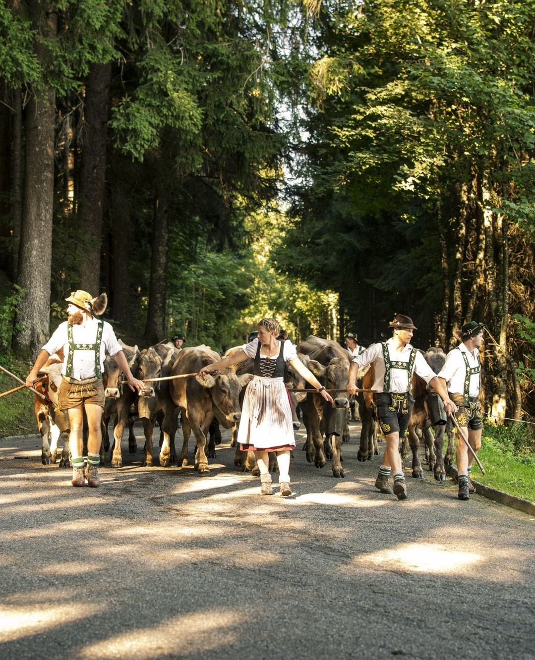 Viehscheid in Missen & Wengen. ??⁠
⁠
Am Samstag, den 19.09.2026, ist bei uns in der Region wieder richtig was los: In Missen und Wengen kehren die Hirten mit ihren Herden nach rund 100 Tagen Alpsommer zurück ins Tal.⁠
⁠
In Missen beginnt der Viehsche