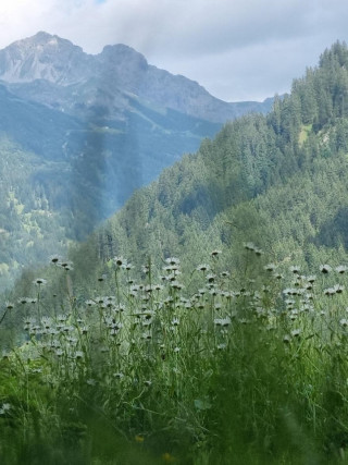 Schöne Sommerferien!